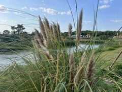 -嘉北郊野公园