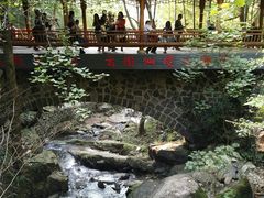 -藏龙百瀑风景区