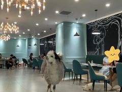-安格丽娜·狗咖·猫咖羊驼咖(春熙路百盛商场店)