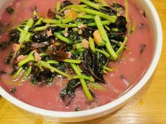 -红果树(江光店)