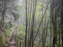 -莫干山风景区