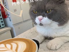 -22cafe