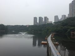 -重庆彩云湖湿地公园