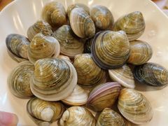 蛤蜊-吉友粥底火锅(方斜路店)