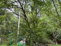 -南京老山国家森林公园