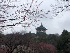 -无锡梅园公园