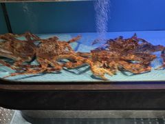 -阿伟海鲜楼·福建菜(延寿店)