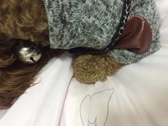 -扬州喜满客国际影城(京华城店)