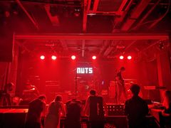 -坚果NUTS
