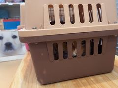 -瑞派·关忠动物医院(国瑞店)