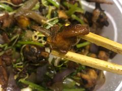 -清真重庆巴爷香辣鸡煲(南小巷店)
