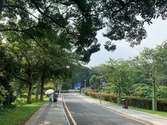 -东莞植物园