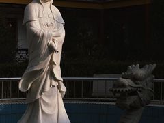 -上海青龙寺