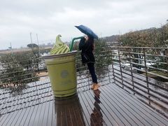 -雪绿茶博物馆