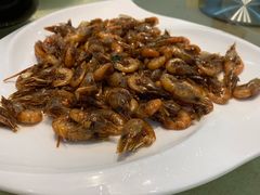 -小北江河鲜(新城店)