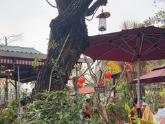 -天然居(伦教店)