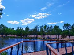 -东郊湿地公园