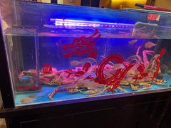 -千代武日本料理(爱建店)