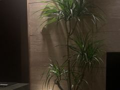 -villaa·别墅·融合菜西餐厅