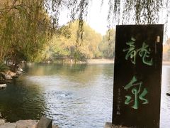 -百脉泉景区