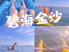 -碧海金沙