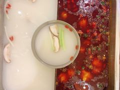 鸳鸯火锅-新辣道鱼火锅(上地华联店)