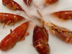 -红盔甲·小龙虾(长寿路店)