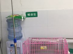-渲嗳动物医院(异宠·复杂内科转诊中心·玖洲道富华里分院)