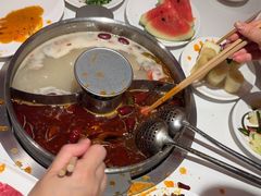 -九码头重庆毛肚火锅(棠岗店)