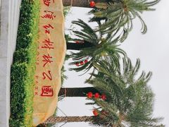 -宝安西湾红树林湿地公园