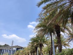 -中国移动南方基地