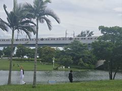 -宝安西湾红树林湿地公园
