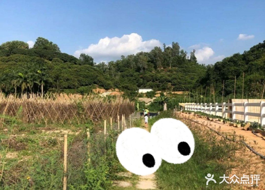 [亲亲]阿菠萝小猪的王国也是小宝贝们的欢乐王国