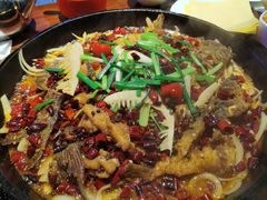 -老板恋上鱼(高新万达店)