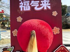 -无锡动物园·太湖欢乐园