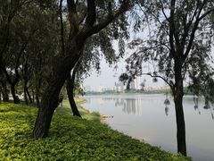 -飞来湖湿地公园