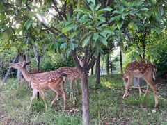 -观唐（国际）度假村温泉