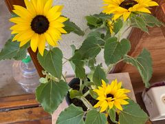 -馥家小馆(黔灵山公园店)