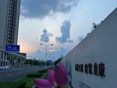 -桃花堤公园