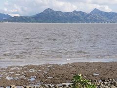 -深圳湾公园(南山区)