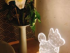 -柴务处·柴犬主题狗咖