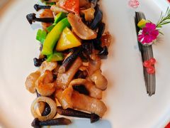 鸡枞菌爆爽肉-馋遇江南·精致湖景雅宴(东方之门店)