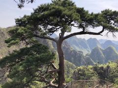-大连天门山国家森林公园