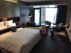 -南京禄口机场雅高铂尔曼大酒店