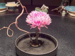 -大拙里·精致融合菜(沙湖桃源国际店)