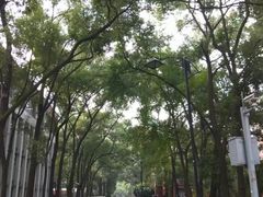 -四川大学(望江校区)