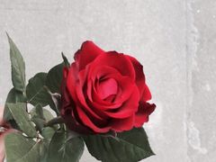 -糖纸甜品(恒一广场店)