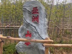 -武汉动物园