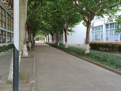 -上海第二工业大学(金海路校区)