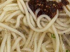 -老马家拉面(碧水花园东南)